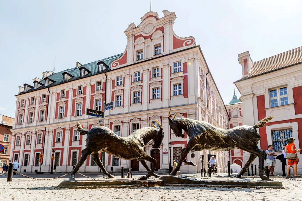 Plac Kolegiacki w Poznaniu
