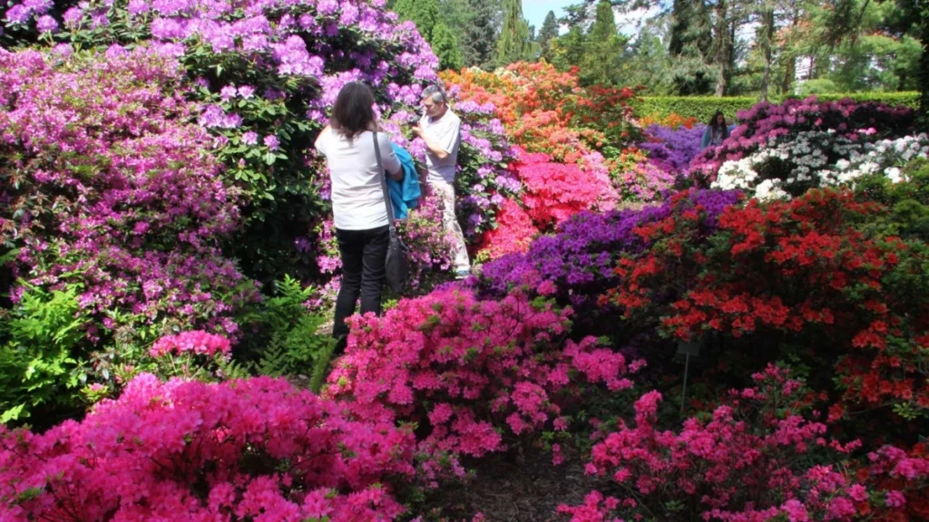 arboretum-park-kornik-galeria-7_wynik
