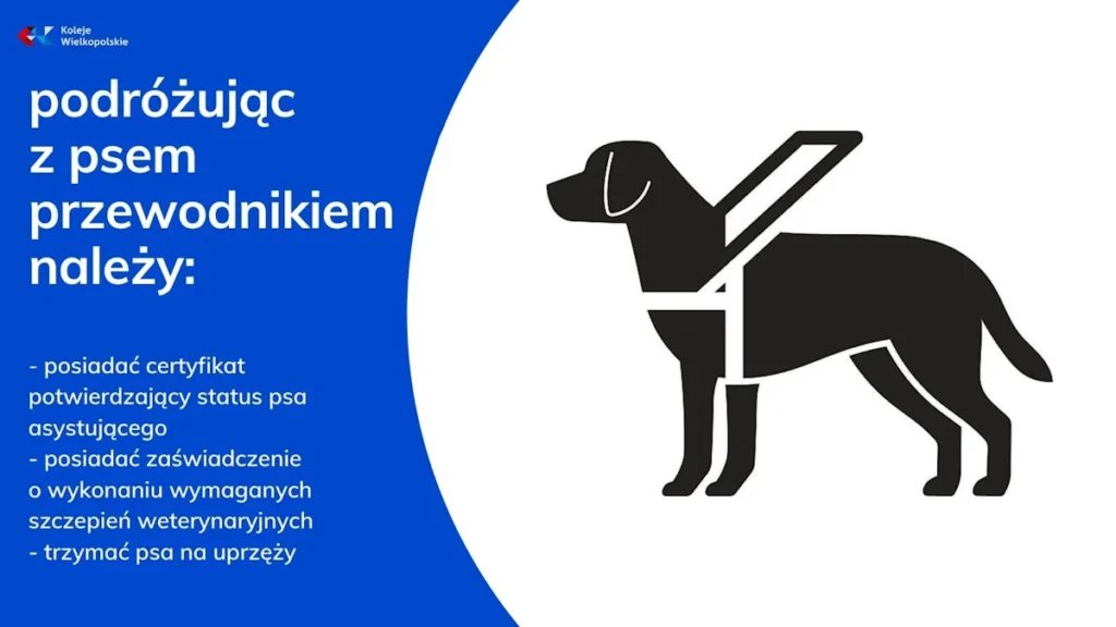 obrazek pies przewodnik