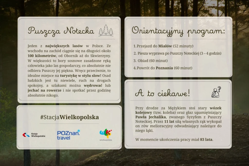 stacja Mialy